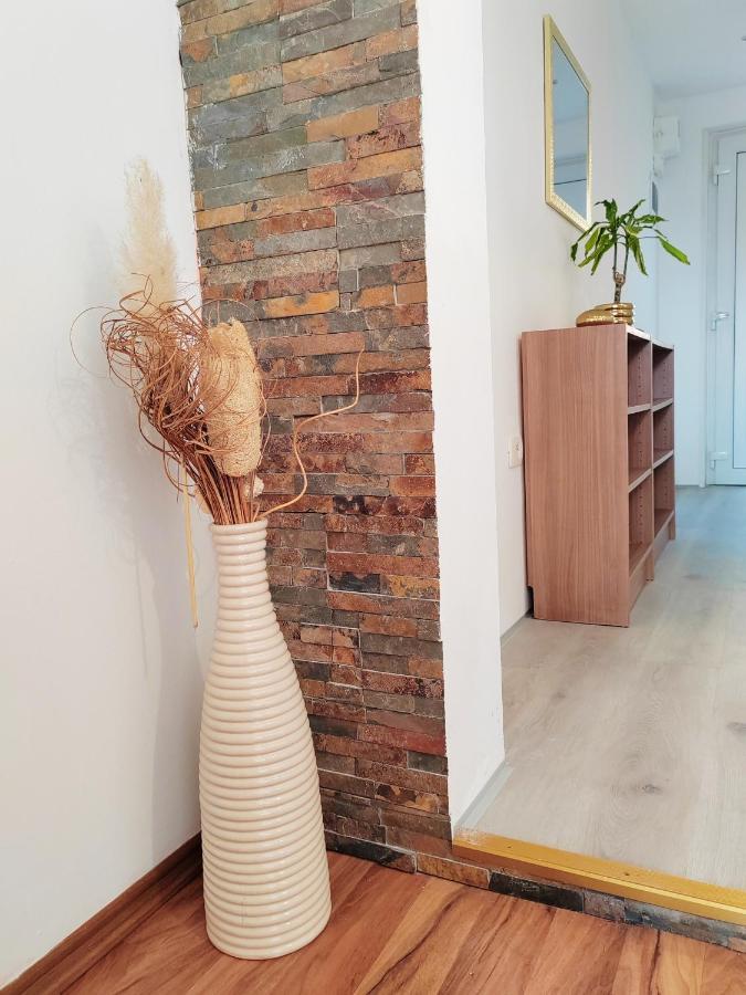 Soncni Apartma Apartment Анкаран Екстериор снимка